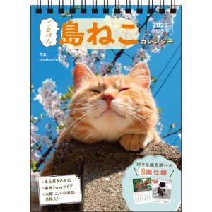 S26 2027 ごきげん島ねこカレンダー 卓上書き込み式 B6タテ 永岡書店のカレンダー / si...