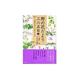 野の花だより三六五日 上 百花繚乱の春から木の葉いろづく秋