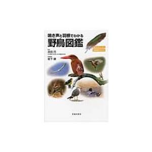 鳴き声と羽根でわかる野鳥図鑑 / 吉田巧  〔本〕