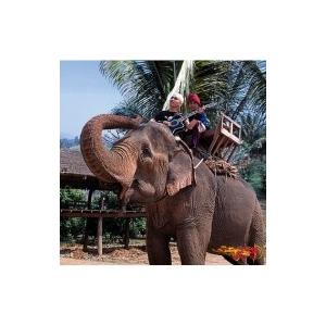 遠藤ミチロウ エンドウミチロウ / ベトナム伝説  〔CD〕