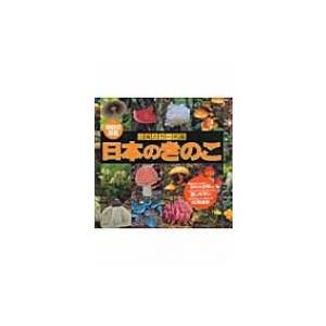 日本のきのこ 山溪カラー名鑑 / 今関六也  〔図鑑〕