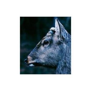 Toe トー / the book about my idle plot on a vague an...