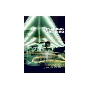 Noel Gallagher's High Flying Birds / International...