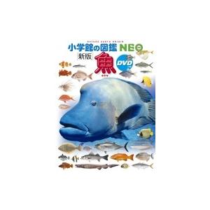 新版 魚 DVDつき 小学館の図鑑NEO / 井田齋  〔図鑑〕｜hmv