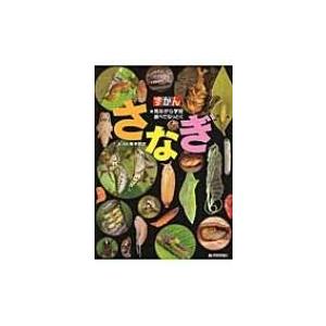 見ながら学習調べてなっとく　ずかん　さなぎ / 鈴木知之