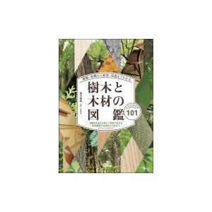 すべての花の画像 100 Epic Bestアサダ 樹木
