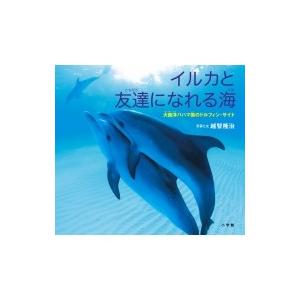 イルカと友達になれる海 大西洋バハマ国のドルフィン・サイト 小学館の図鑑NEOの科学絵本 / 越智隆...