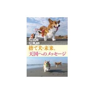 捨て犬・未来、天国へのメッセージ ノンフィクション・生きるチカラ / 今西乃子  〔全集・双書〕