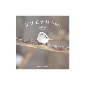 シマエナガちゃん / 小原玲  〔本〕