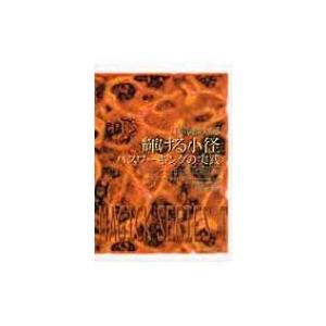 輝ける小径 パスワーキングの実践 現代魔術大系 / ドロレス・アッシュクロフト=ノーウィッキ  〔全...