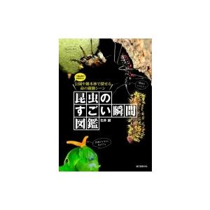 昆虫のすごい瞬間図鑑 一度は見ておきたい!公園や雑木林で探せる命の躍動シーン / 石井誠  〔図鑑〕