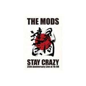 THE MODS モッズ / STAY CRAZY  〔DVD〕