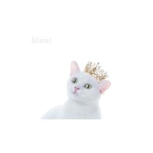 Aimer エメ / BEST SELECTION “blanc” 【初回生産限定盤A】(+Blu-...