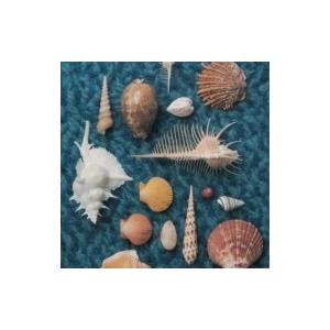 スピッツ / CYCLE HIT 1991-1997 Spitz Complete Single C...