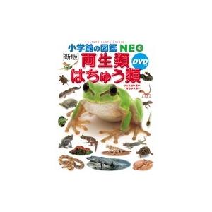 新版 両生類・はちゅう類DVDつき 小学館の図鑑NEO / 松井正文  〔図鑑〕