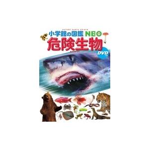 小学館の図鑑neo 危険生物dvdつき 塩見一雄 図鑑 Hmv Books Online Yahoo 店 通販 Yahoo ショッピング