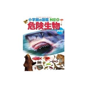 小学館の図鑑NEO 危険生物DVDつき / 塩見一雄  〔図鑑〕｜hmv