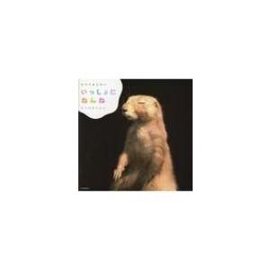 おやすみえほん いっしょにねんね / 橘蓮二 〔絵本〕の商品画像