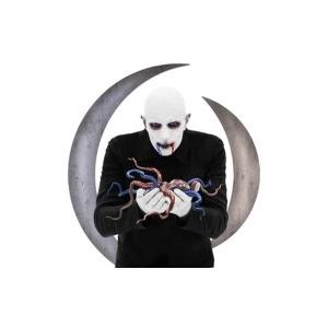 A Perfect Circle アパーフェクトサークル / Eat The Elephant 輸入...