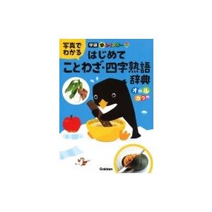 新レインボー　写真でわかるはじめてことわざ・四字熟語辞典 / 学研辞典編集部  〔辞書・辞典〕