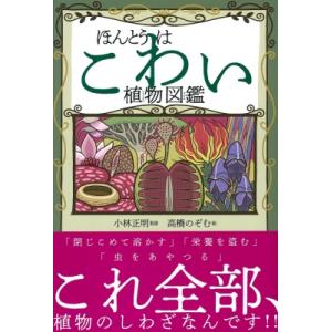 街道をゆく」(文庫版)全43巻+夜話BOXセット / 司馬遼太郎 シバリョウ