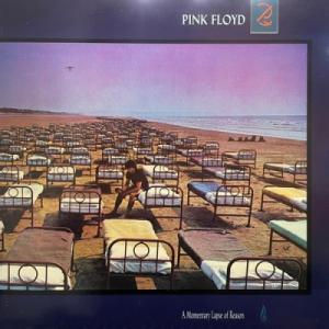 【コピス吉祥寺】PINK FLOYD/MOMENTARY LAPSE OF REASON(OC405...