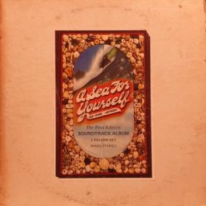 【新宿】VARIOUS/A SEA FOR YOURSELF(RR002)
