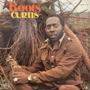 【コピス吉祥寺】CURTIS MAYFIELD/...の商品画像
