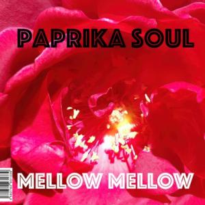 【新品/新宿】Paprika Soul/Mellow Mellow / Too Much Love ...