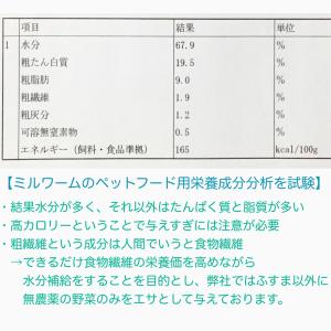 ミルワーム 10g 1.5cm〜2.5cmサイ...の詳細画像3