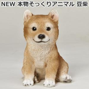 NEW 本物そっくりアニマル 豆柴 犬型置き物／オブジェ プレゼントにも最適｜hmy-select