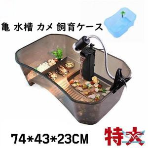 亀 水槽 カメ 飼育ケース 大きい 脱出防止 フェンス