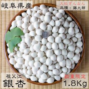 銀杏 ぎんなん 大粒 約１.８kg   岐阜県産 ギンナン　藤九郎