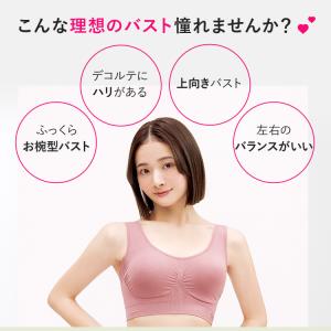 ナイトブラ VIAGE 公式 2枚セット ノン...の詳細画像3