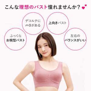 ナイトブラ VIAGE 公式 3枚セット ノン...の詳細画像3