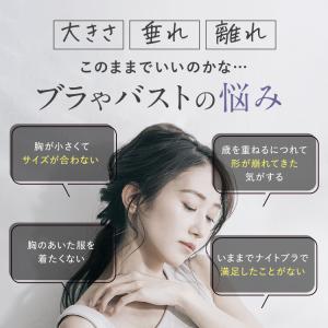 ナイトブラ LUNA 公式 2枚セット ナチュ...の詳細画像3
