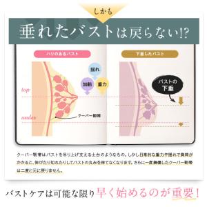 ショーツ ナイトブラ 3枚セット VIAGE ...の詳細画像5