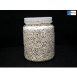 ブナ菌糸800ボトル(菌糸ビン)オオクワガタ　幼虫の餌