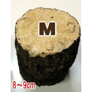 クヌギ・ナラ産卵木 Mサイズ10本