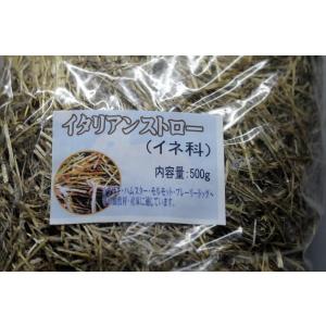 イタリアンストロー　チャック袋　500ｇ　牧草　うさぎ　小動物　牧草｜hobby-club