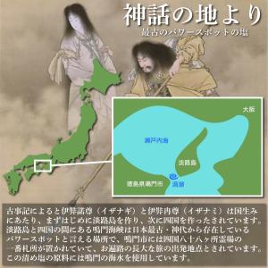 盛り塩 清め塩 粗塩 鳴門 渦潮の力 888g...の詳細画像2