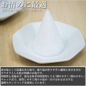 盛り塩 清め塩 粗塩 鳴門 渦潮の力 888g...の詳細画像4