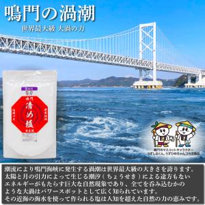 盛り塩 清め塩 粗塩 鳴門 渦潮の力 888g...の詳細画像1