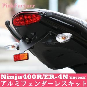 カワサキ（Kawasaki） 13〜17 Ninja250 / Z250 フェンダーレスキット