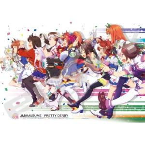 ウマ娘 プリティーダービー 夢の先まで1000ピース エンスカイ