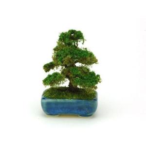 プラッツ 1/ 12 THE BONSAI 角鉢杉塗装済完成品 返品種別B