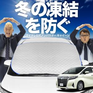 手渡し希望　超美品　コートテクト　フロントガラス　80系ヴォクシー　ノア　エスクァイア　湿度センサー、カメラ付き車両用　 新発売 ノア ヴォクシー 80系 ZWR80 ZRR85 フロント ガラス 凍結防止