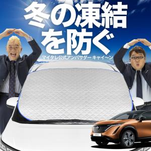 超P祭500円「吸盤＋9個」 アリア FE0型 B6 専用 サンシェード カーテン