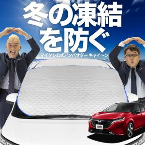 新発売 ノート オーラ FE13/SFNE13型 e-POWER フロント ガラス 凍結