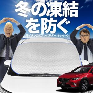 新発売 ノア ヴォクシー 80系 ZWR80 ZRR85 フロント ガラス 凍結防止